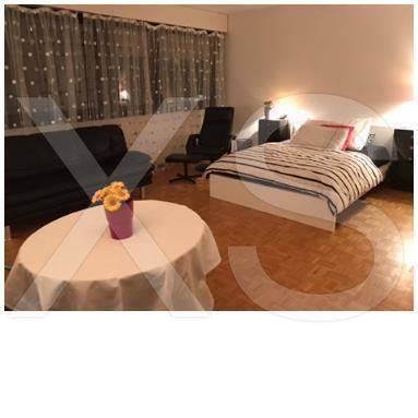 A2 Studio Mir6 For rent - escort Geneve