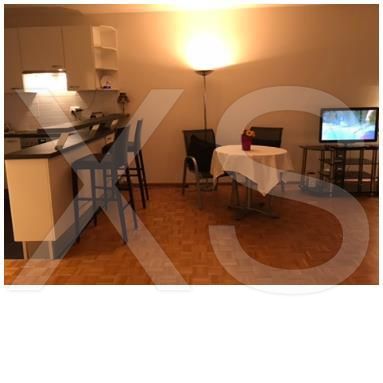A2 Studio Mir6 For rent - escort Geneve