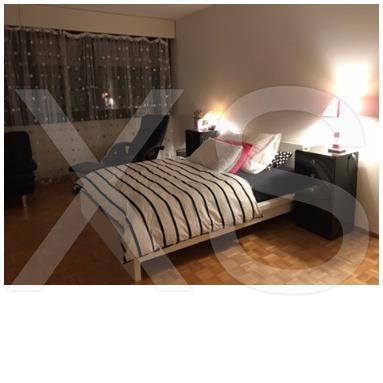 A2 Studio Mir6 For rent - escort Geneve